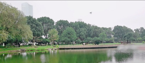 qq_pic_merged_1606110008039.jpg qq_pic_merged_1606110008039.jpg